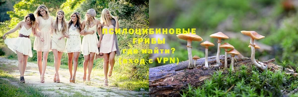 индика Магадан