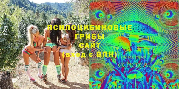индика Магадан