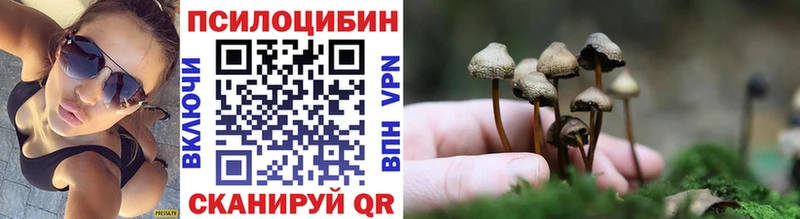 Галлюциногенные грибы GOLDEN TEACHER Змеиногорск